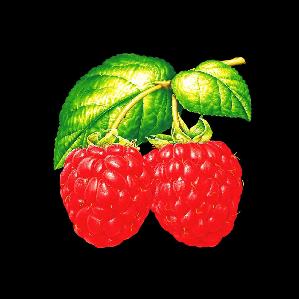 Raspberry